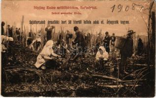 1908 Székelyhíd, Sacueni; Söpjing Endre szőlőbirtokos, szüret november 19-én, reklám. Konkoly fényképész (Margitta) / vineyard, grape harvest (felületi kopás / worn surface)