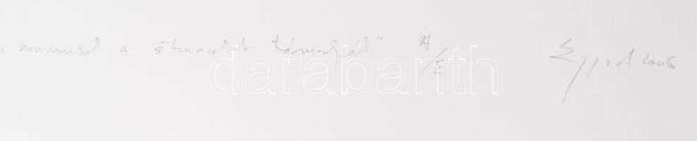 Egyed Tibor (1969-): "Mumusok a struccokat támadják, 2006. Litográfia, papír, jelzett, művészpé...