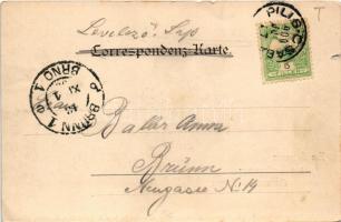 1900 Ein Schwarm zur Verlängerung des rechten Flügels. Verlag von Alex J. Klein / Austro-Hungarian K...