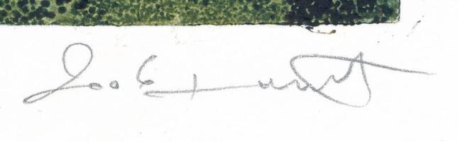 Németh Róbert (1975-):Durci, 2006. Rézkarc, rézmaratás, papír, jelzett, egyedi nyomat. 20x20 cm