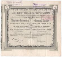 Budapest 1893. "Kassa-Somodi Kőszénbánya-Részvénytársaság" ideiglenes elismervénye fél részvényről 50Ft értékben bélyegzésekkel, szárazpecséttel T:F