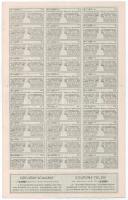 1889. Budapest "Varasd-Goluboveczi Helyi Érdekű Vasut Részvény-társaság" törzsrészvénye 20...