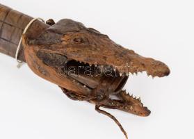 Különleges kelet-ázsiai tőr. halat ábrázoló feliratozott pengével. A hüvely egy preparált kis krokod...