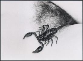 cca 1950 "A középkori erényövet felváltotta a vágyak kapujának halálos őrzője", 1 db modern nagyítás, jelzés nélkül, 15x21 cm