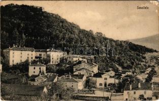 1917 Senozece, general view (Rb)