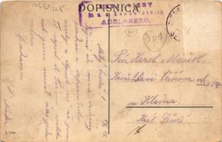 1917 Senozece, general view (Rb)