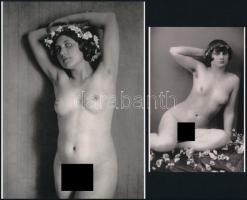 cca 1910 "Virágokkal feldíszítve", szolidan erotikus felvételek, 2 db modern nagyítás, jelzés nélkül, 15x10 cm és 21x15 cm