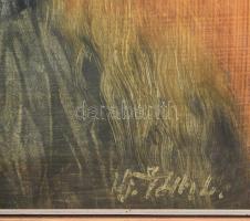 Ifj Tóth László (1957- ): Kalapos madonna, olaj, farost, jelzett, üvegezett fakeretben, hátoldalán K...