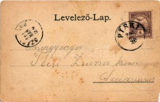 1901 Piski, Simeria; A piski csata (F. Breidwieser festménye után), Bem-szobor, emlékmű. Főző József...