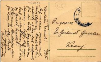 Dornava, Dornau; Schloß Dornau bei Ptuj / castle (fa)