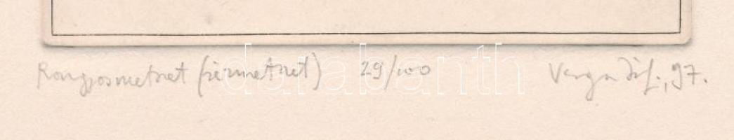 Varga Zsófia (1974-): Rongyosmetszet, 1997. Rézmetszet, papír, jelzett, számozott (29/100). 16,5x11,...