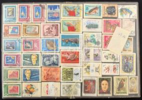 43 db bündli műanyag tálcán