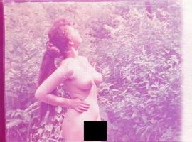 9 darab erotikus fotónegatív