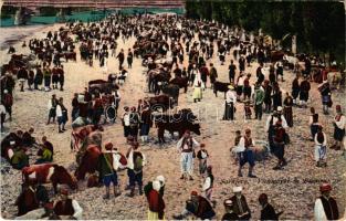 1916 Sarajevo, Viehmarkt in Bosnien / Bosnian folklore, cattle market (Rb)