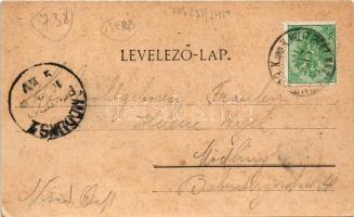 Gombos, Bogoja, Bogojevo; Erdődi várrom, Komp a nyílt Dunán. Szecessziós-virágos keret / Erdődi-Burg...