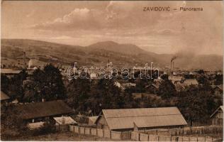 Zavidovici, Panorama. Jacob A. Cappon / general view (EK)