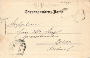 1904 Bohinjska Bistrica, Wocheiner Feistritz; general view. Verlag Rosa Pitschl (Rb)