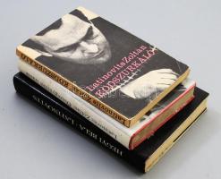 Latinovits Zoltánnal kapcsolatos 3 darab könyv, közte Latinovits Zoltán: Ködszurkáló. Bp.,1973,Magvető, 216 p.+12 t.Fekete-fehér fotókkal. Első kiadás. Kiadói papírkötés,javított kötéssel. Ritka! + Hegyi Béla: Latinovits + Latinovits Zoltán: emlékszem a röpülés boldogságára.