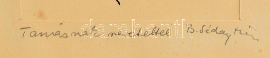 B. Séday Mária (1925-2009), 3 db rajz egy paszpartuban: Macska, Enteriőr és fa. Tus, toll, papír, je...