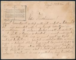 1884 Kígyós, Pándy Sarolta (Pándy Kálmán orvos testvére) kézzel írt üdvözlőlapja nővérének