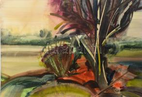 Dobrovits Ferenc (1941-1988): Színes táj (cím nélkül), 1974. Akvarell, papír, jelzett. Dobrovits Ferenc autográf ajándékozási soraival. Lapszéli apró szakadással. 44x64 cm