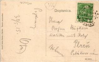 1915 Metlika, Möttling; general view (fl)