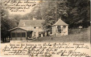 1904 Terme Dobrna, Bad Neuhaus bei Cilli (Celje); Milchmariandl / milk drinking hall, restaurant. Verlag v. Aug. Hasenbichel (cut)