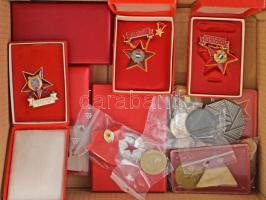 Vegyes, főleg érmékből és kitüntetésekből álló tétel, benne: mintegy ~230g jobbára magyar érme + 5db Ag érme (közte 1947. 5Ft Ag "Kossuth" és Ausztria 1925. 1/2Sch Ag) + 11db kitüntetés (közte 1940. "Erdélyi részek felszabadulásának emlékére" Zn emlékérem mellszalag nélkül; ~1950. "Kiváló Dolgozó" fém kitüntetés zománcozott "Rákosi címerrel, eredeti tokban; 1970. "Felszabadulási Jubileumi Emlékérem" aranyozott, műgyantás bronz kitüntetés mellszalagon, eredeti tokban és 1985. "Munka Érdemrend" ezüst fokozata, zománcozott, ezüstözött bronz kitüntetés mellszalagon, szalagsávon miniatűrrel) + Bognár György (1944-) 1986. "Labdarúgó Világbajnokság Mexikó" kétoldalas Cu-Ni PP emlékérem (32mm) T:vegyes