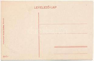 Borszék, Borsec; Irén villa, nyaraló. Pollatschek Gyula kiadása / villa (vágott / cut)