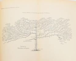 Hoernes, Moriz (szerk.): Wissenschaftliche Mitteilungen aus Bosnien und der Herzegowina. Herausgegeb...