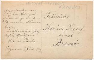 1909 Fogaras, Fagaras; Blumenkorso / hölgyek virágfogaton / ladies on a horse carriage decorated wit...