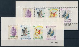 1964 Bélyegnap Monográfia blokkpár, az egyik 3,5 mm magas sorszámmal, az utolsó két számjegy megegyezik (18.000)