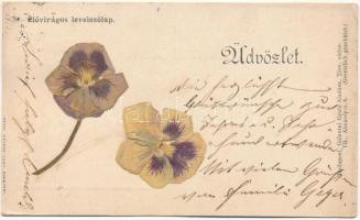 1900 Üdvözlet. Élővirágos üdvözlőlap. Galantai Gyula kiadása, Márkus Samu nyomtatta / Greeting card with real flower (EB)