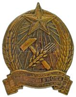 ~1949-1956. "Állami Általános Iskola" bronz Rákosi-címeres iskolajelvény (45x35mm) T:XF tű lejött