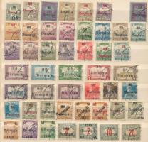 Baranya I. 1919 48 db bélyeg, Bodor vizsgálójellel