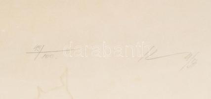 Kass János (1927-2010): Nárcisszusz. Szitanyomat, kréta, papír. Jelzett. Számozott (49/100). Plexiüv...