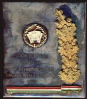 1980. "Milichovszky Emil elvtársnak a Népi Ellenőrzésben végzett kimagasló munkája elismeréséül" zománcos ffém emlékplakett T:2 Eredeti díszdobozban!