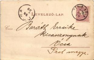 1898 (Vorläufer!) Tápiósüly (Sülysáp), libapásztor fiú libákkal, korai ragasztott fotós képeslap. ph...