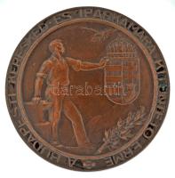 1934. "A Budapesti Kereskedelmi és Iparkamara Kitüntető Érme / Jeles tanulókból lesznek kitűnő mesterek!" kétoldalas bronz emlékérem eredeti tokban (45mm) T:AU, patina