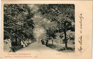 1900 Kovászna, Covasna; Sétatér. Bogdán F. fényképész / promenade (fl)