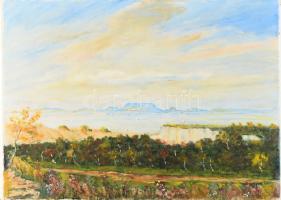 Körmendy-Barcza jelzéssel: Balatoni táj. Olaj, vászon. 40×56 cm