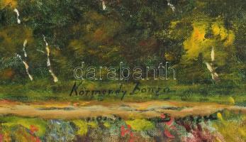 Körmendy-Barcza jelzéssel: Balatoni táj. Olaj, vászon. 40×56 cm