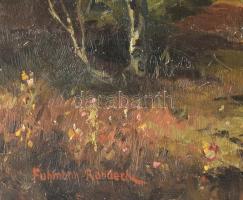 Fuhmann-Randeck jelzéssel: Alpesi táj. Olaj, vászon. Javított. 50×70 cm