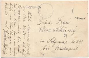 Brod, Bosanski Brod; Parobrodarska stanica sa pogledom na most i otok Adu. Izidor Steiner / Steamboa...