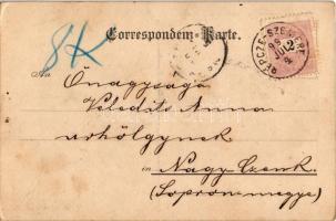 1899 (Vorläufer) Graz (Steiermark), Herrengasse / street, gendarmes (fl)