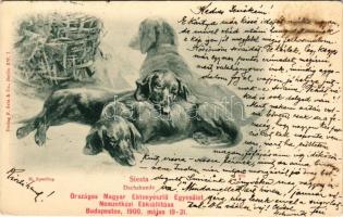 1903 Országos Magyar Ebtenyésztő Egyesület Nemzetközi Ebkiállítása Budapesten, 1900. május 19-21. / Siesta. Dachshunde / Dachshund dogs s: H. Sperling (Rb)