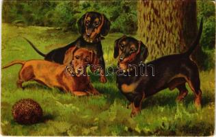 1925 Dachshund dogs art postcard. Wenau-Delila No. 1313 D. (kopott sarkak / worn corners)