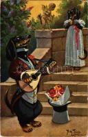 Dachshund dogs serenade. T. S. N. Serie 949 s: Arth. Thiele (ázott sarok / wet corner)
