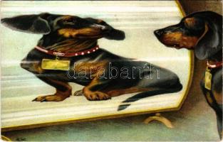 Dachshund dog art postcard, looking in the mirror. T. S. N. S. 831. (EM)