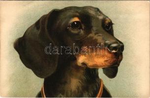 Dachshund dog art postcard (fl)